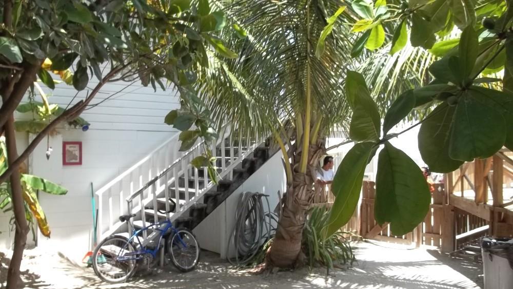 Pedro'S Hotel & Inn San Pedro (Ambergris Caye) Exterior foto